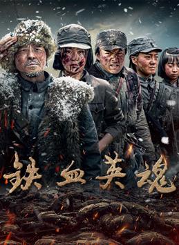 未知导演电视剧铁血英魂