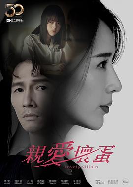 洪子鹏导演电视剧亲爱坏蛋