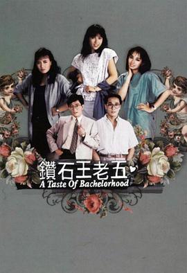 曾励珍导演电视剧钻石王老五粤语