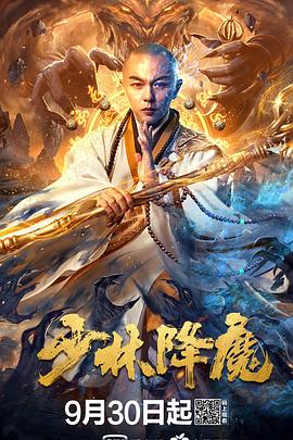 张博导演电视剧少林降魔