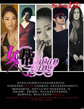 刘心刚导演电视剧女人帮2013
