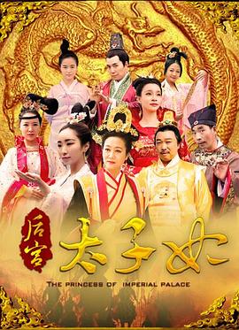 姚锐导演电视剧后宫太子妃
