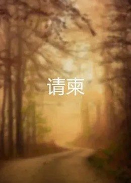 大陆电视剧请柬