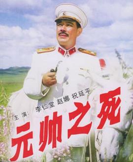 阙文导演电视剧元帅之死