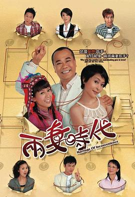黄伟声导演电视剧两妻时代