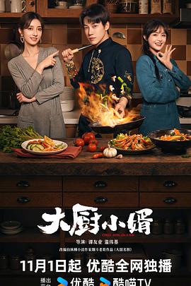 谭友业导演电视剧大厨小婿