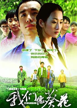 周友朝导演电视剧我们像葵花