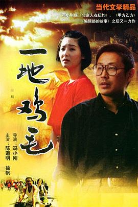 冯小刚导演电视剧一地鸡毛