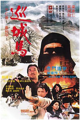 于仁泰导演电视剧巡城马