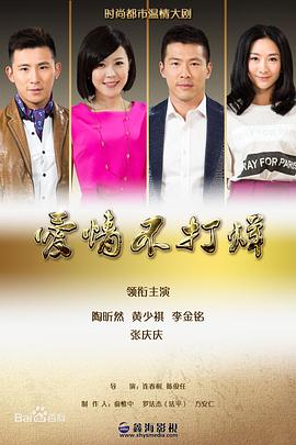 陈俊任导演电视剧爱情不打烊