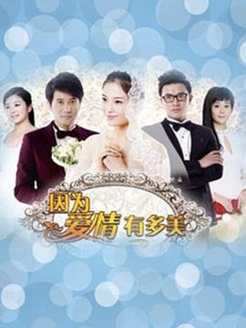 高先明导演电视剧因为爱情有多美DVD