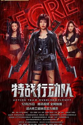 刘巴音导演电视剧特战行动队