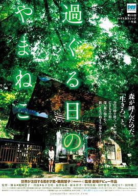 鶴岡慧子导演电视剧往日的山猫