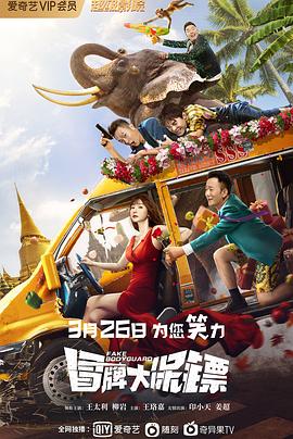 姜晓通导演电视剧冒牌大保镖