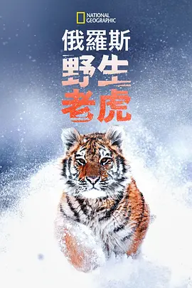 Franz Hafner导演电影俄罗斯野生老虎