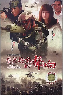 王文盛导演电视剧葵花怒放的声响