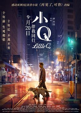 罗永昌导演电视剧小Q