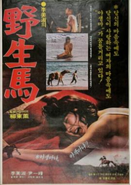 李美淑主演电影野生馬