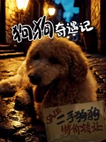 廖彩媚主演电视剧狗狗奇遇记